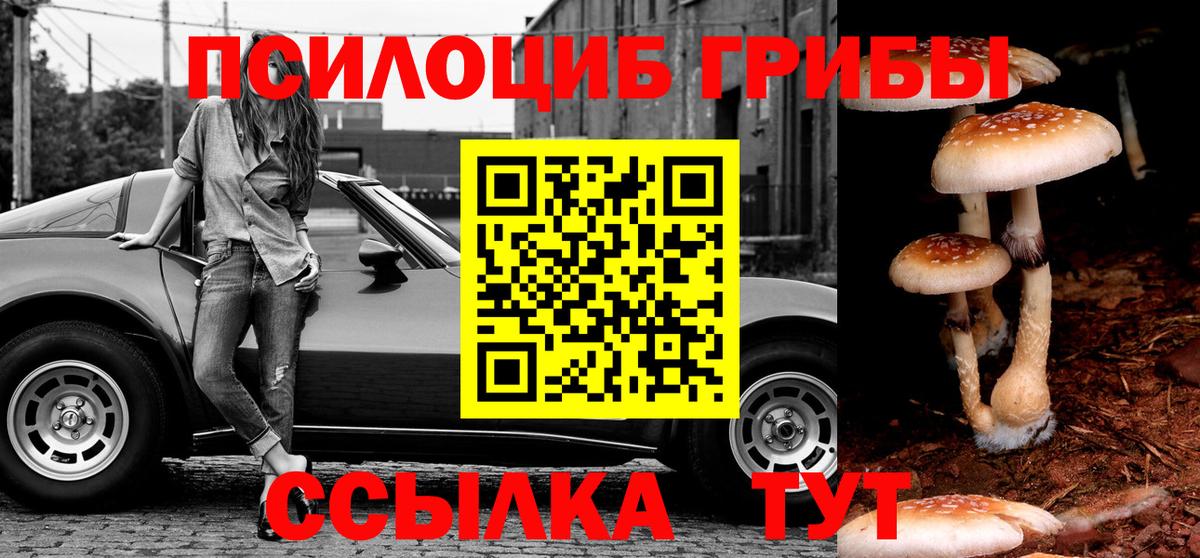 Элиста  купить наркотик  Вход с VPN  Галлюциногенные грибы Magic Shrooms 