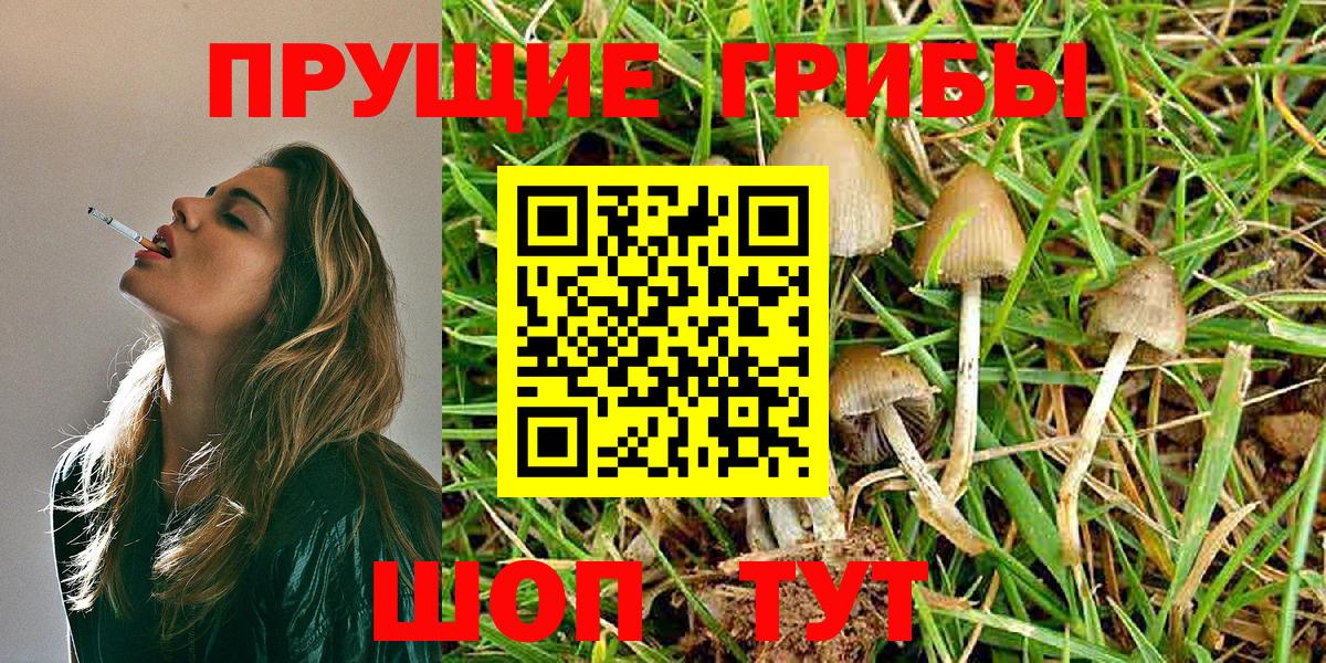 Псилоцибиновые грибы MAGIC MUSHROOMS Элиста